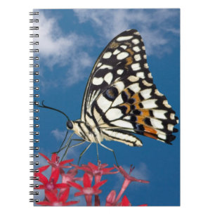 Beautiful Butterfly Notebook