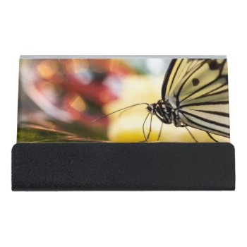 Beautiful Butterfly On A Dish Desk Business Card Holder by Scotts_Barn at Zazzle