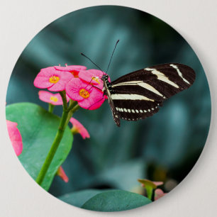 Beautiful butterfly on a pink flower button