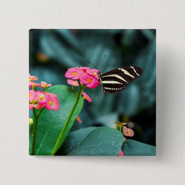Beautiful butterfly on a pink flower button (Front)