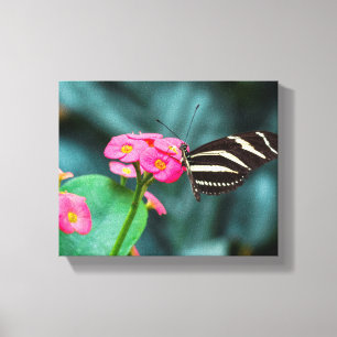 Beautiful butterfly on a pink flower canvas print