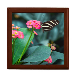 Beautiful butterfly on a pink flower gift box