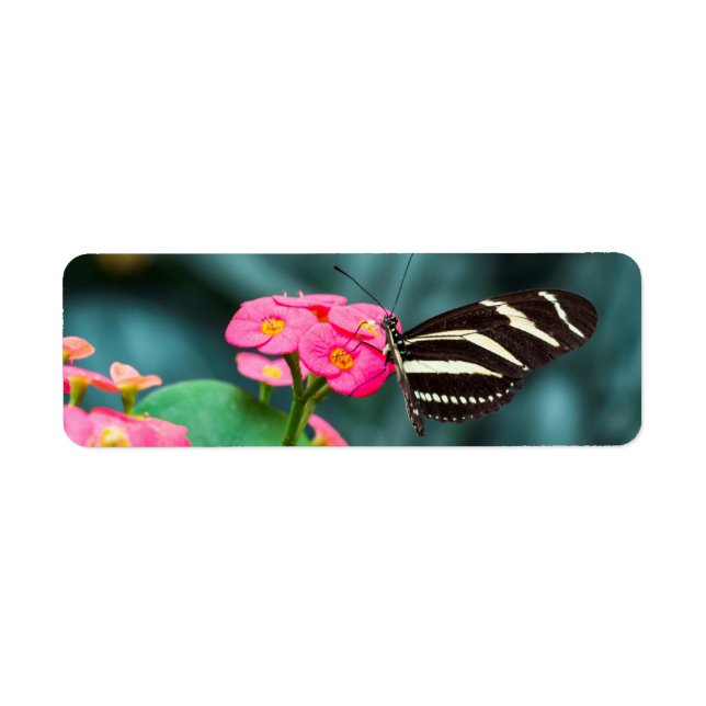 Beautiful butterfly on a pink flower label (Front)