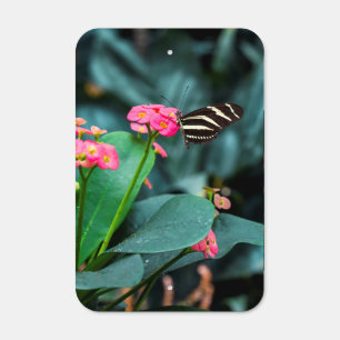 Beautiful butterfly on a pink flower metal sign