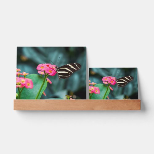 Beautiful butterfly on a pink flower picture ledge