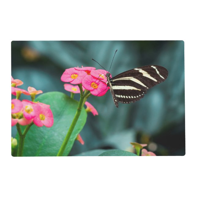 Beautiful butterfly on a pink flower placemat (Front)