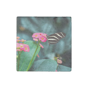 Beautiful butterfly on a pink flower stone magnet