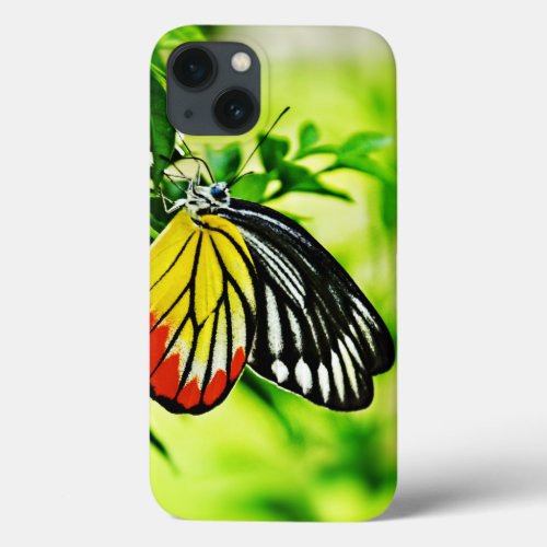 Beautiful Butterfly on Flowers iPhone 13 Case