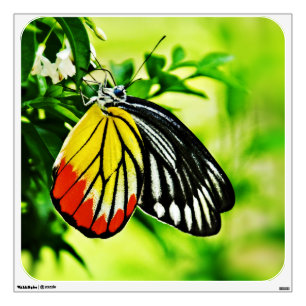 Beautiful Butterfly on Flowers Wall Sticker