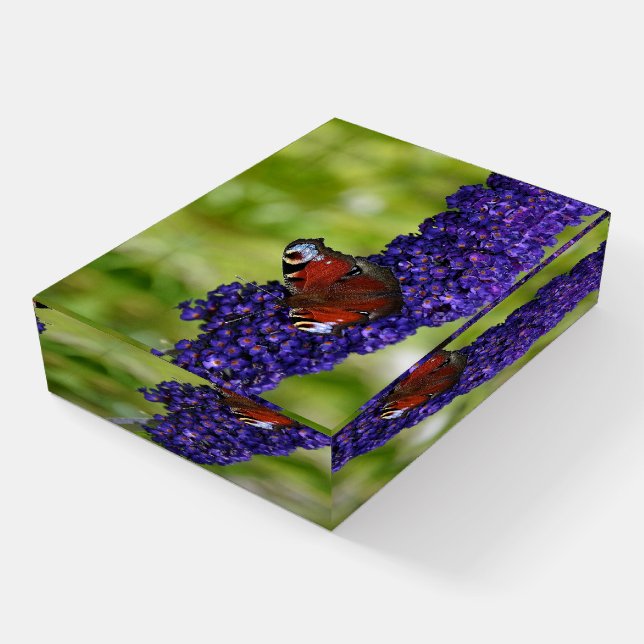 Beautiful Butterfly on Purple Flowers Paperweight (Angled)