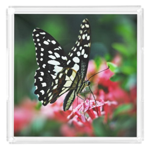 Beautiful Butterfly on Red Flower Acrylic Tray