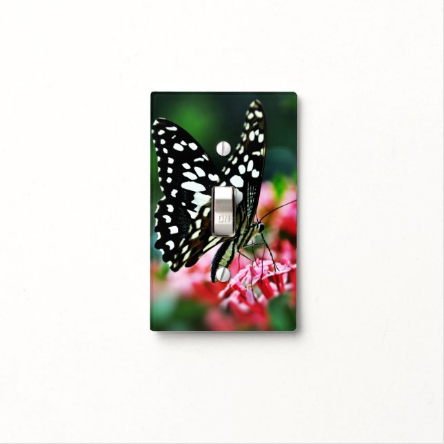 Beautiful Butterfly on Red Flower Light Switch Cover (In Situ)
