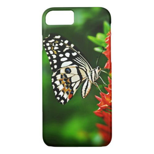 Beautiful Butterfly on Red Flowers iPhone 87 Case