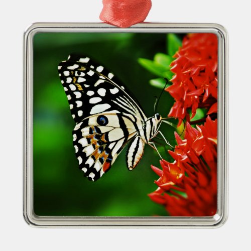 Beautiful Butterfly on Red Flowers Metal Ornament