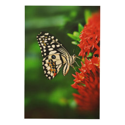Beautiful Butterfly on Red Flowers Wood Wall Decor