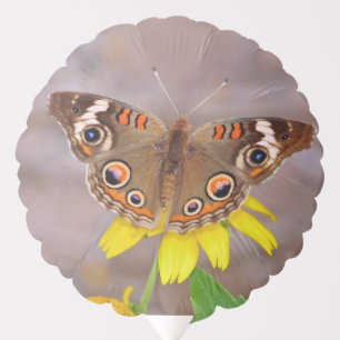 Beautiful Butterfly on Yellow Flower  Balloon