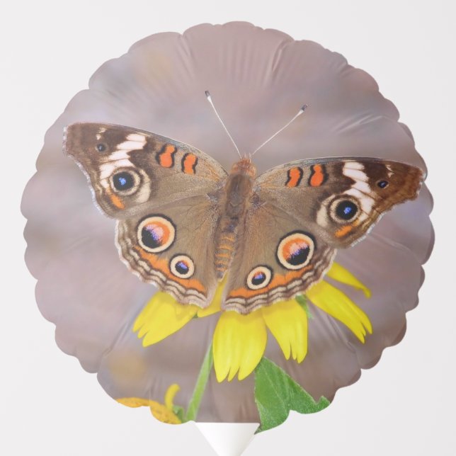Beautiful Butterfly on Yellow Flower  Balloon (Front)