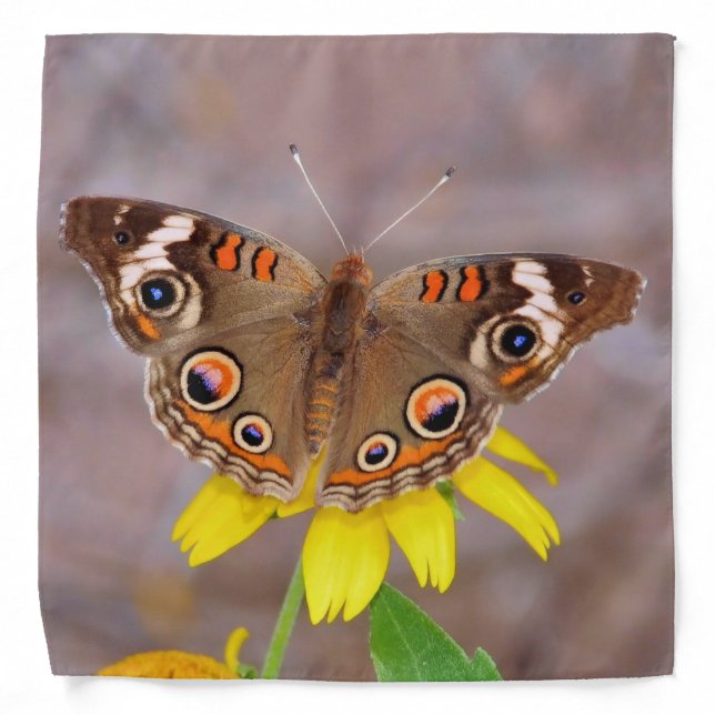 Beautiful Butterfly on Yellow Flower  Bandana (Front)