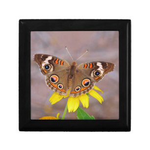 Beautiful Butterfly on Yellow Flower Gift Box