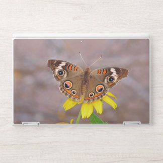 Beautiful Butterfly on Yellow Flower  HP Laptop Skin