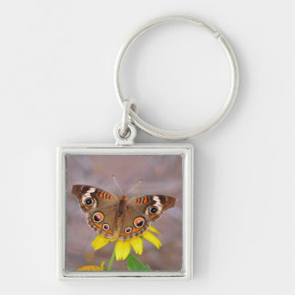 Beautiful Butterfly on Yellow Flower Keychain