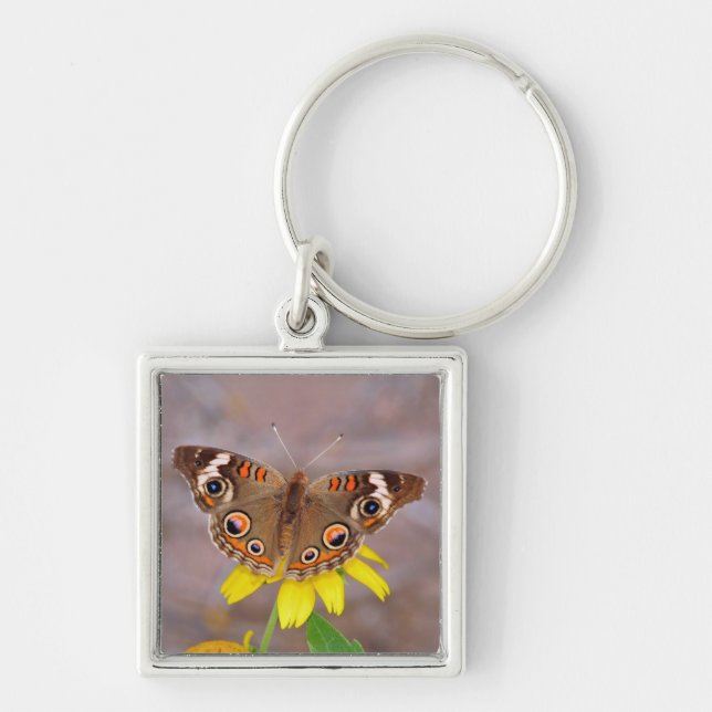 Beautiful Butterfly on Yellow Flower  Keychain (Front)