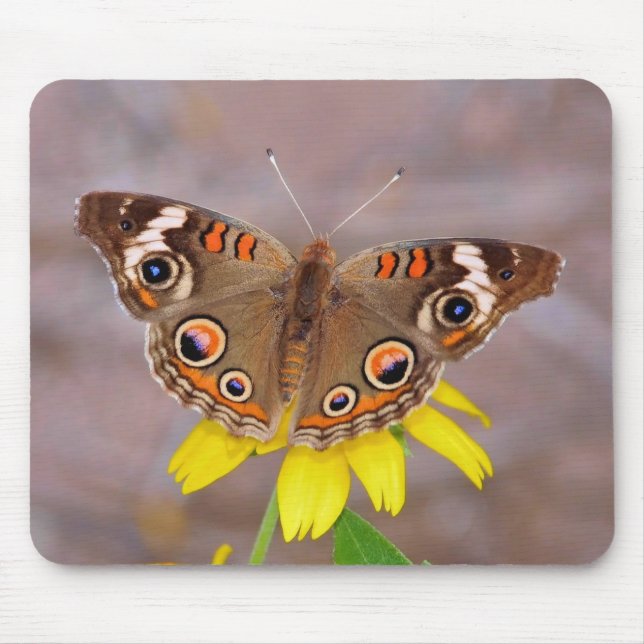 Beautiful Butterfly on Yellow Flower  Mouse Pad (Front)