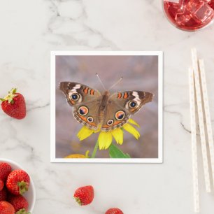 Beautiful Butterfly on Yellow Flower Napkins