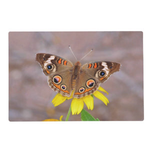 Beautiful Butterfly on Yellow Flower  Placemat