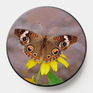 Beautiful Butterfly on Yellow Flower PopSocket