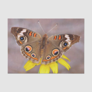 Beautiful Butterfly on Yellow Flower Tissue Paper