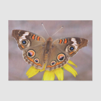 Beautiful Butterfly on Yellow Flower  Tissue Paper