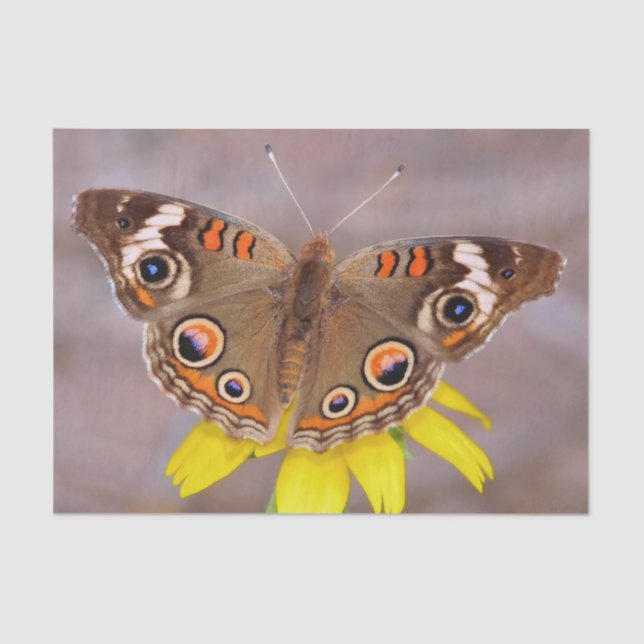 Beautiful Butterfly on Yellow Flower  Tissue Paper (Front)