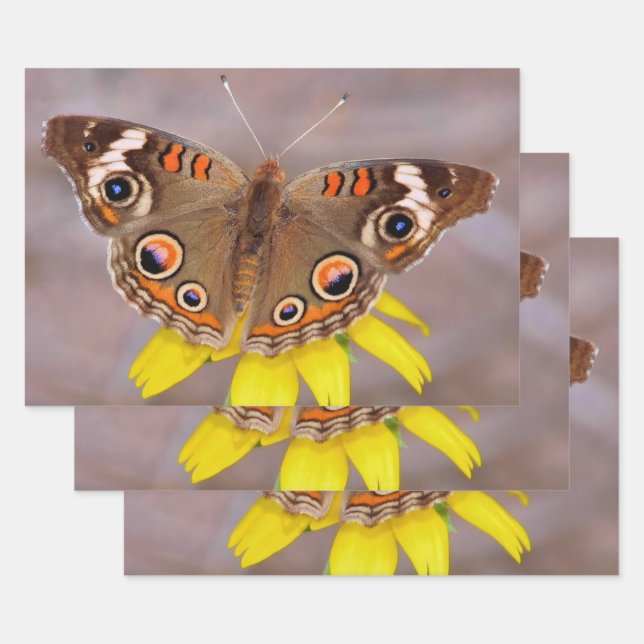 Beautiful Butterfly on Yellow Flower  Wrapping Paper Sheets (Set)