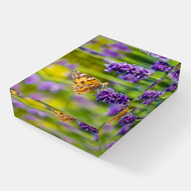 Beautiful Butterfly Paperweight (Angled)