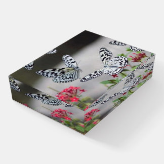 Beautiful Butterfly Paperweight