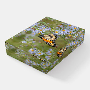 Beautiful Butterfly Paperweight