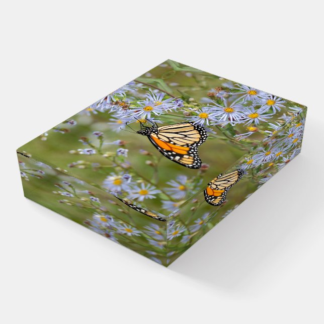 Beautiful Butterfly Paperweight (Angled)