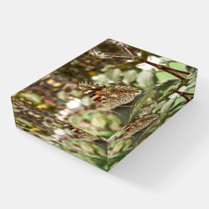 Beautiful Butterfly Paperweight
