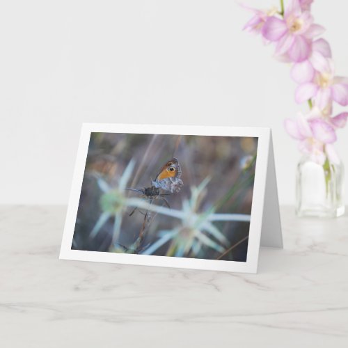 Beautiful Butterfly Portrait Card