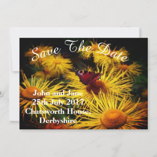 Beautiful Butterfly Save the Dates Date