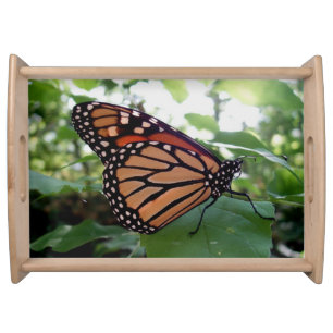 Beautiful Butterfly Serving Tray