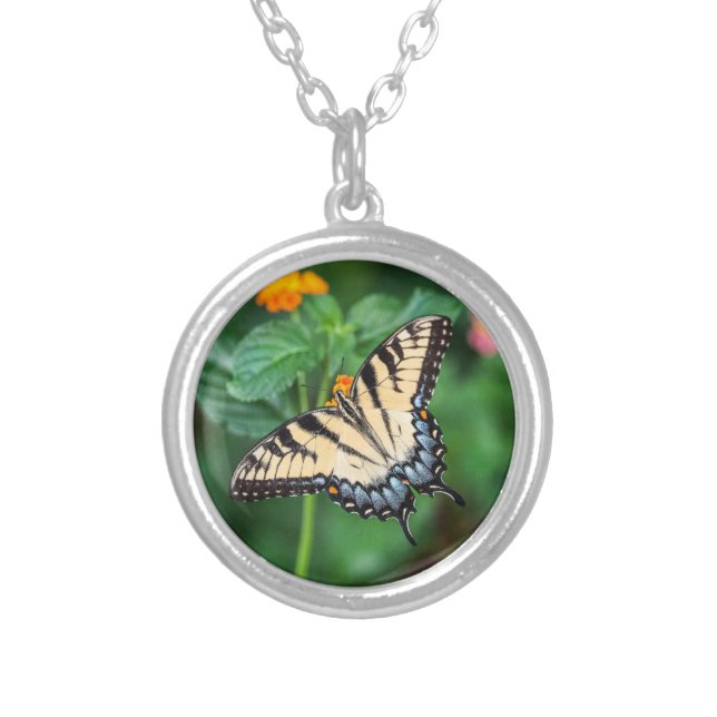 Beautiful Butterfly Silver Plated Necklace (Front)