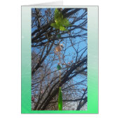 Beautiful Butterfly Wind chime in Trees Blank Card (Front)