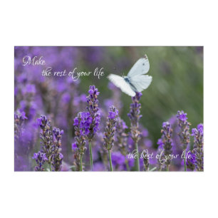Beautiful butterfly with motivational quote acryli acrylic print