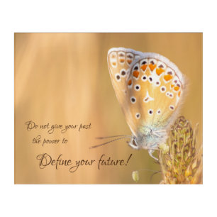 Beautiful butterfly with motivational quote acryli acrylic print