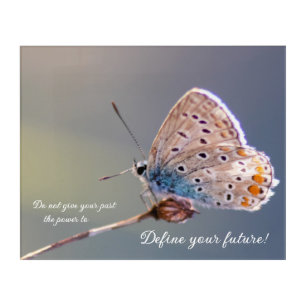 Beautiful butterfly with motivational quote acryli acrylic print