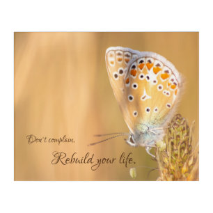 Beautiful butterfly with motivational quote acrylic print