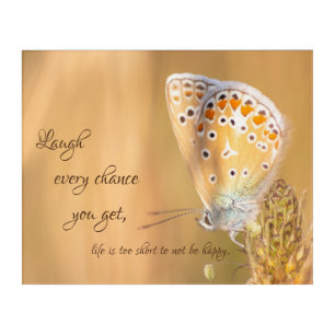 Beautiful butterfly with motivational quote acrylic print