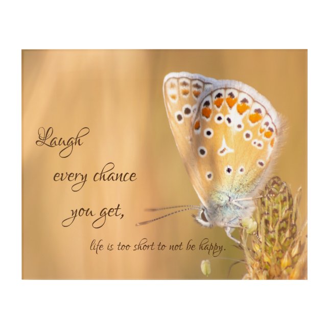 Beautiful butterfly with motivational quote acrylic print (Front)
